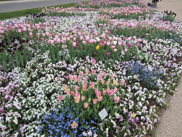 BUGA2011   076.jpg